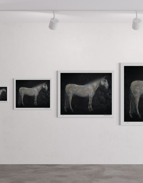 Horse | Limited Edition Prints